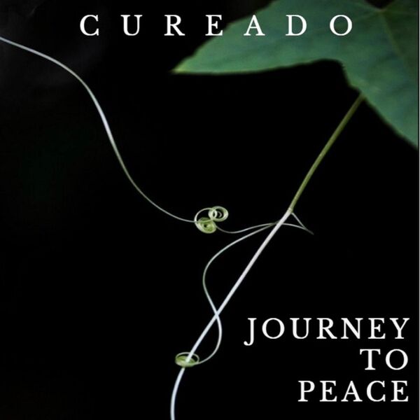 Cover art for Journey to Peace